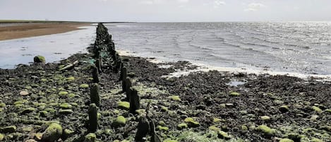 Huis | Uitzicht op het water