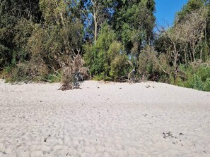 A sandy beach with sparse vegetation and trees in the background. - 5 Person Holiday Home in Vaeggerlose (Vaeggerlose)