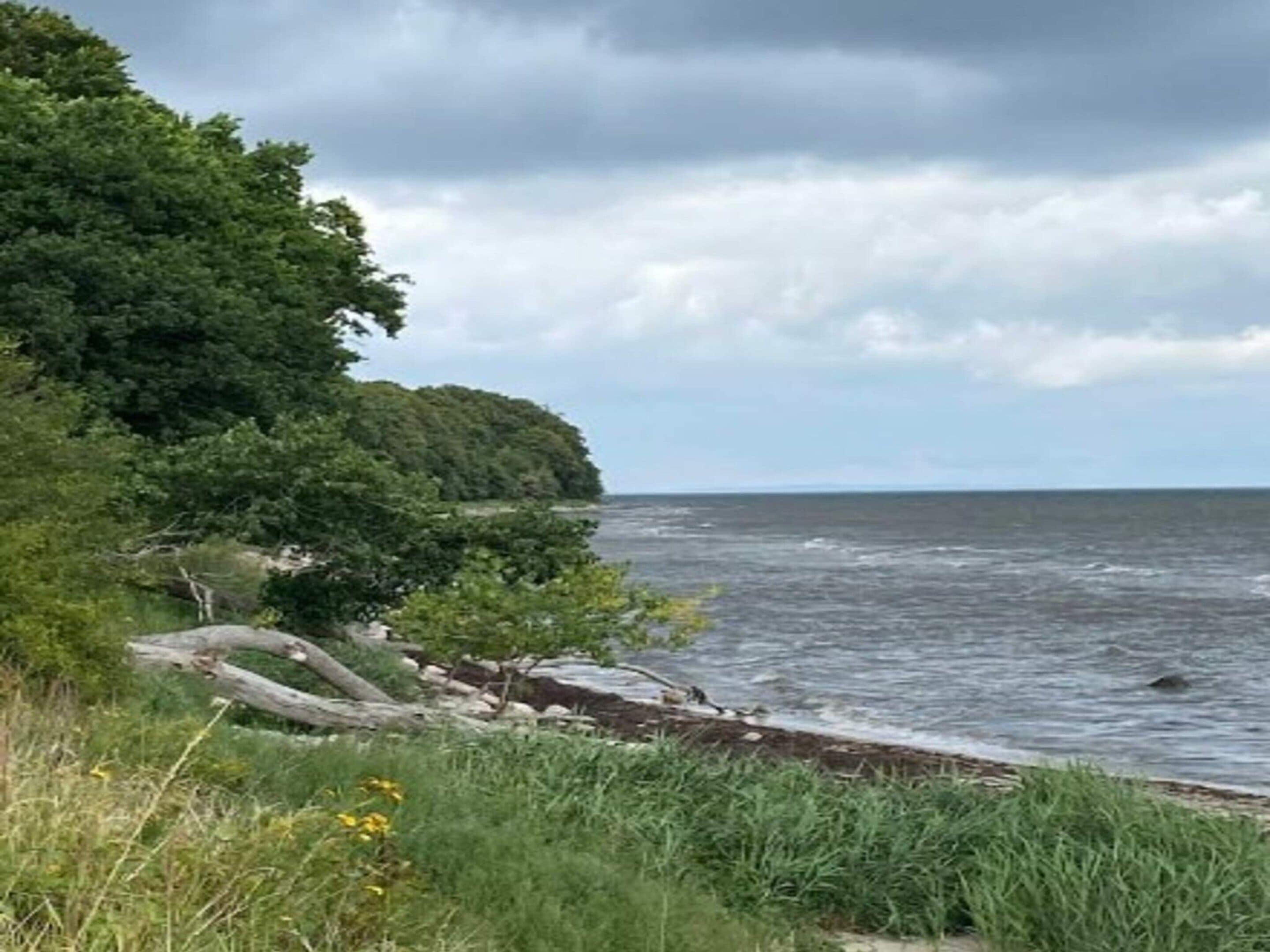 Een kustlandschap met een grasveld, bomen en een wateroppervlak.