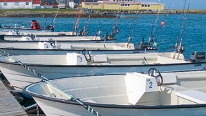 A row of numbered boats docked at a pier. - 6 Person Holiday Home in Brekstad (Orland)