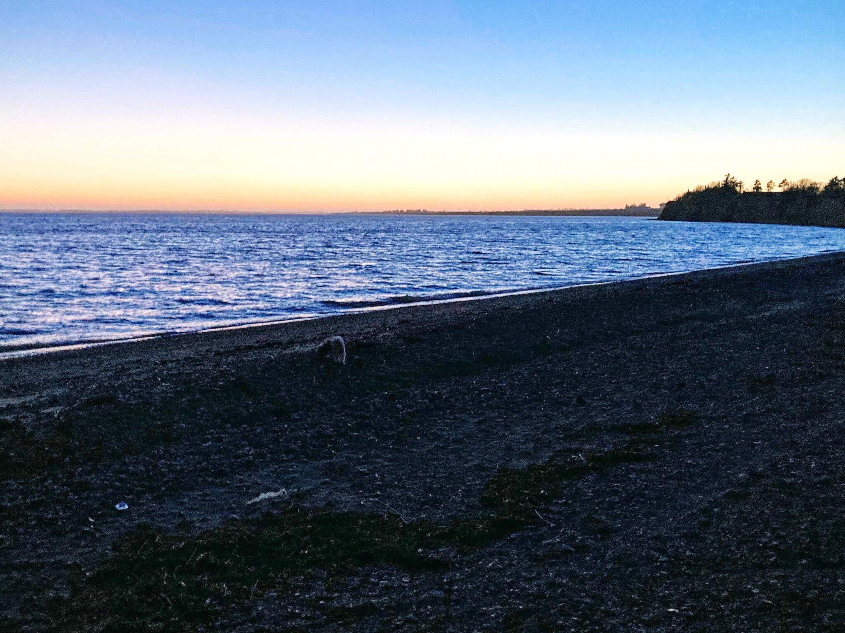 Una playa con costa rocosa y una vista despejada del océano.