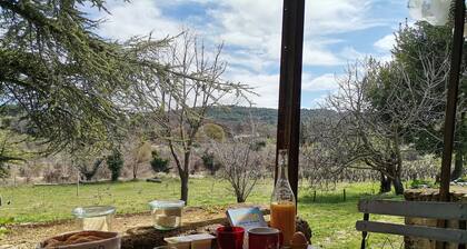 Ferme provencale luberon 3 chambres piscine climatisation centre de lourmarin