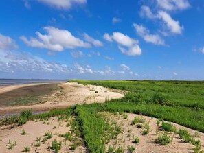A coastal landscape with a sandy beach, green vegetation, and a clear blue sky.