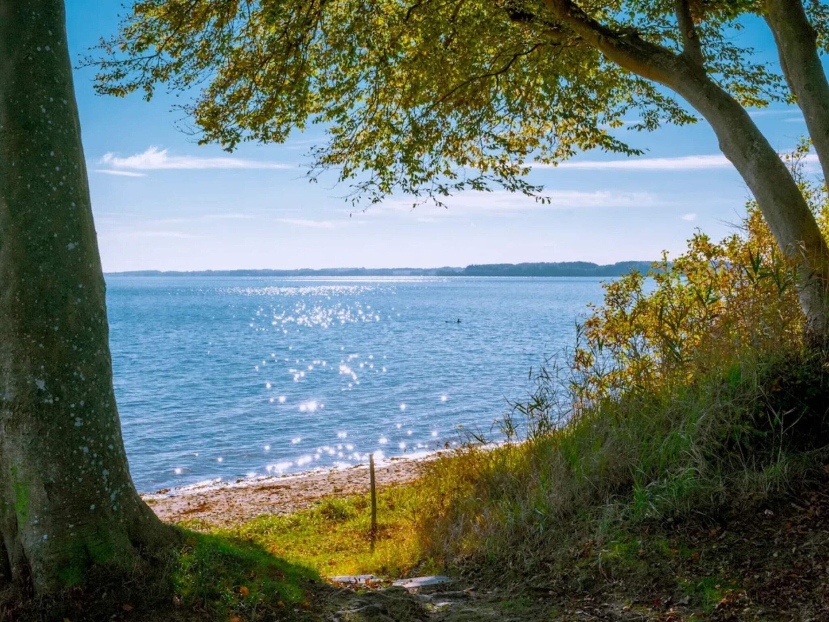 House | Water view
