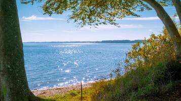House | Water view