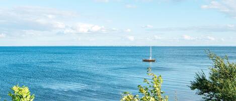 House | View from property