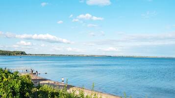 A coastal landscape with a clear sky, calm water, and a sandy beach with vegetation in the foreground.