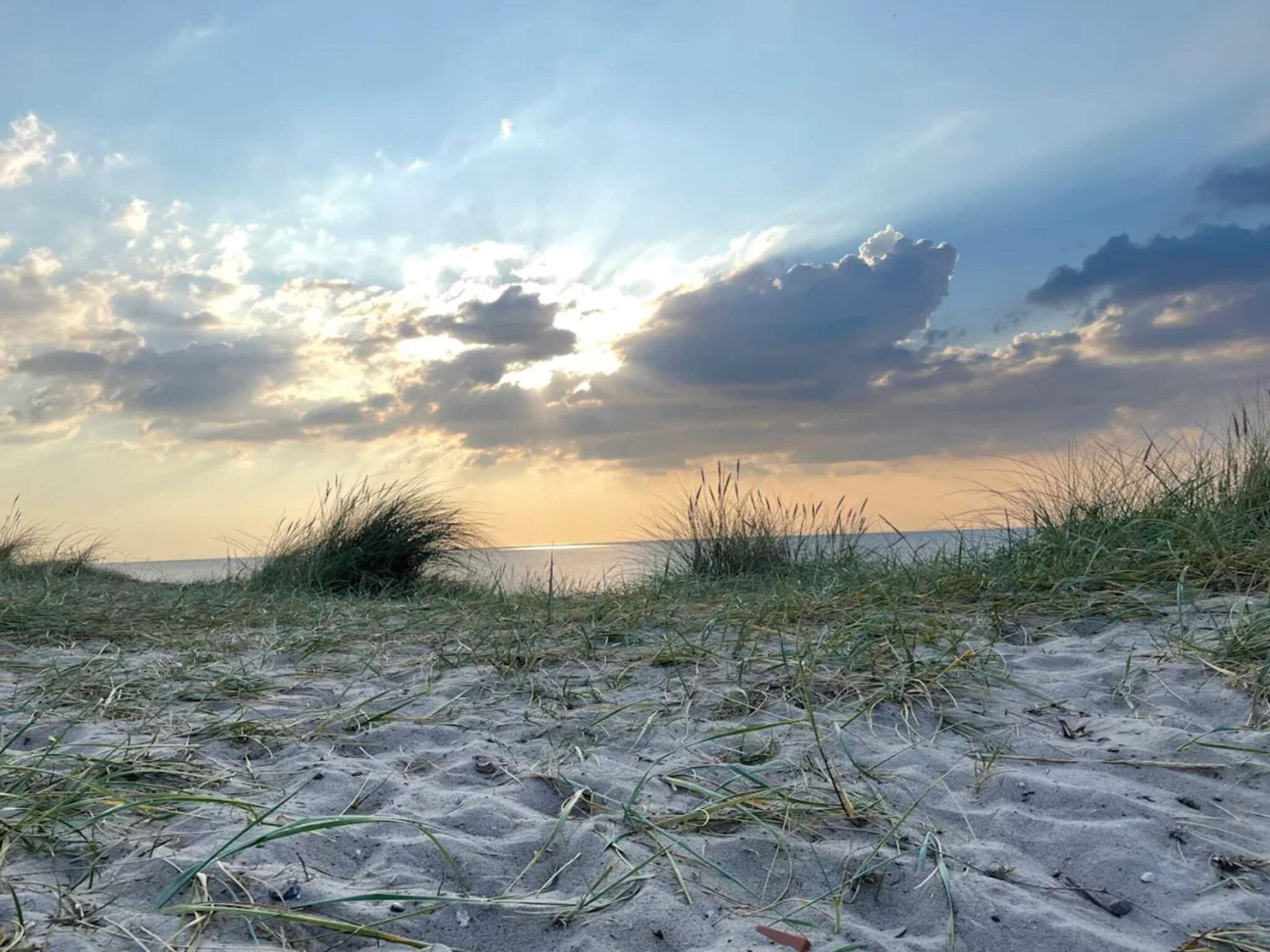 A beach with sand and grass, a cloudy sky, and the sun setting or rising.