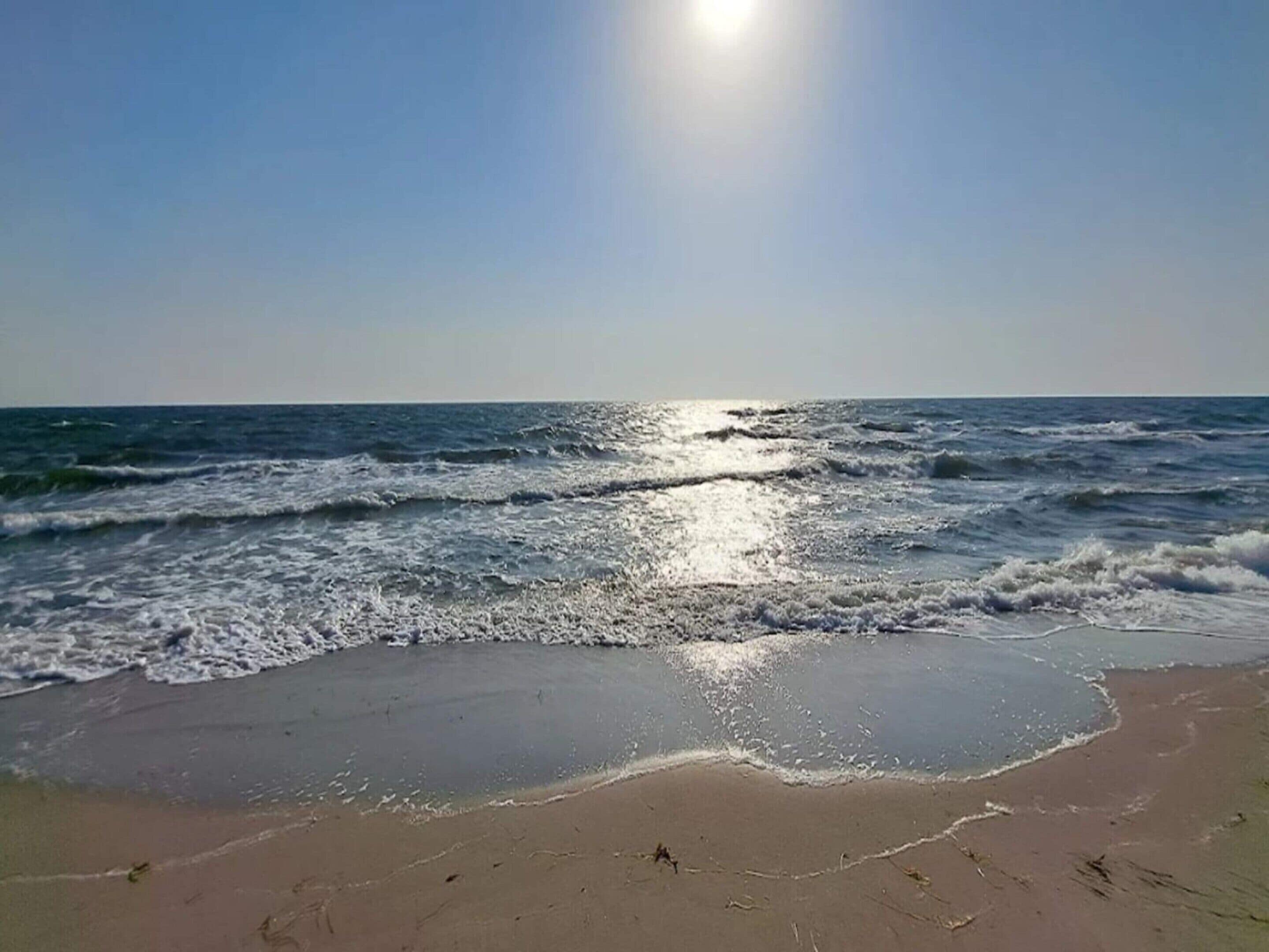 Vista al agua
