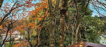 Allambee Cottage - a place of rest
