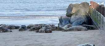 Cosy and Comfortable Holiday Chalet 10 minutes walk to the beach, Norfolk