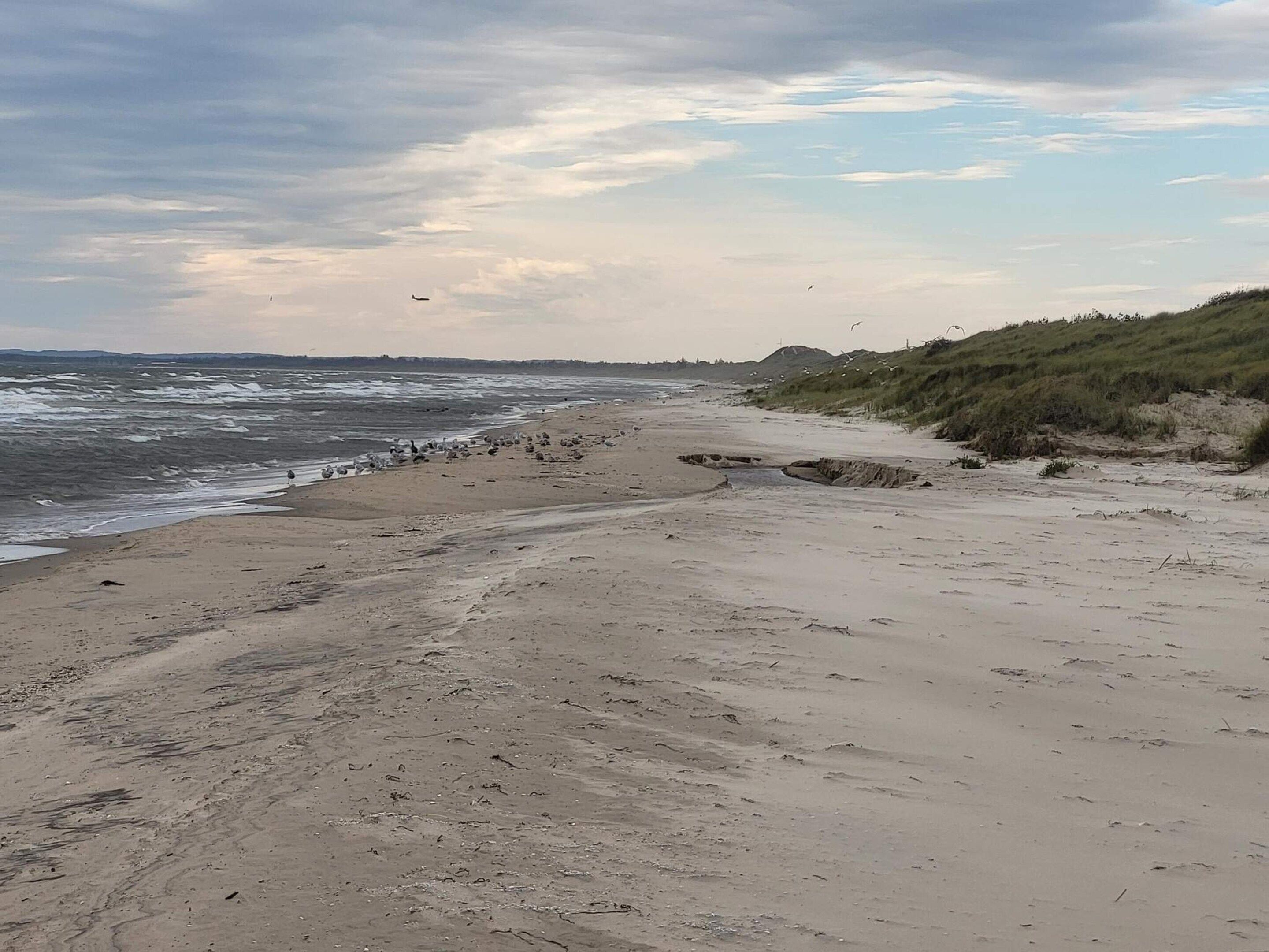 En strand med sandet bredde, bølger og en græsdækket bakke i baggrunden.