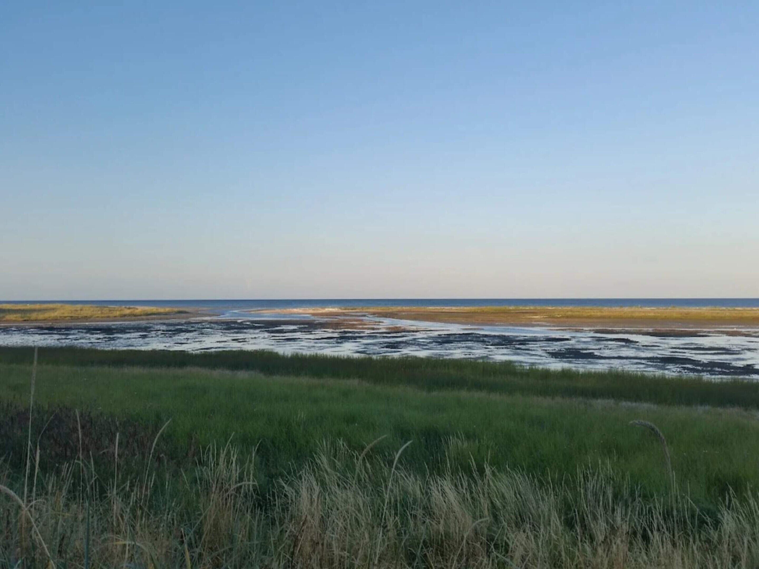 A coastal landscape with a flat, expansive view of the ocean and a grassy foreground.