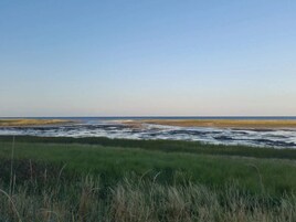 A coastal landscape with a flat, expansive view of the ocean and a grassy foreground.