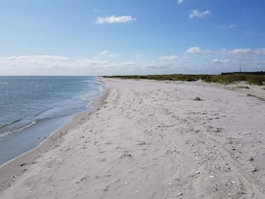 A sandy beach with gentle waves, a clear sky, and sparse vegetation. - 6 Person Holiday Home in Hals (Hals)