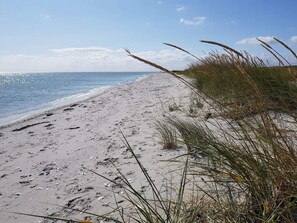 A sandy beach with visible footprints and grass in the foreground.