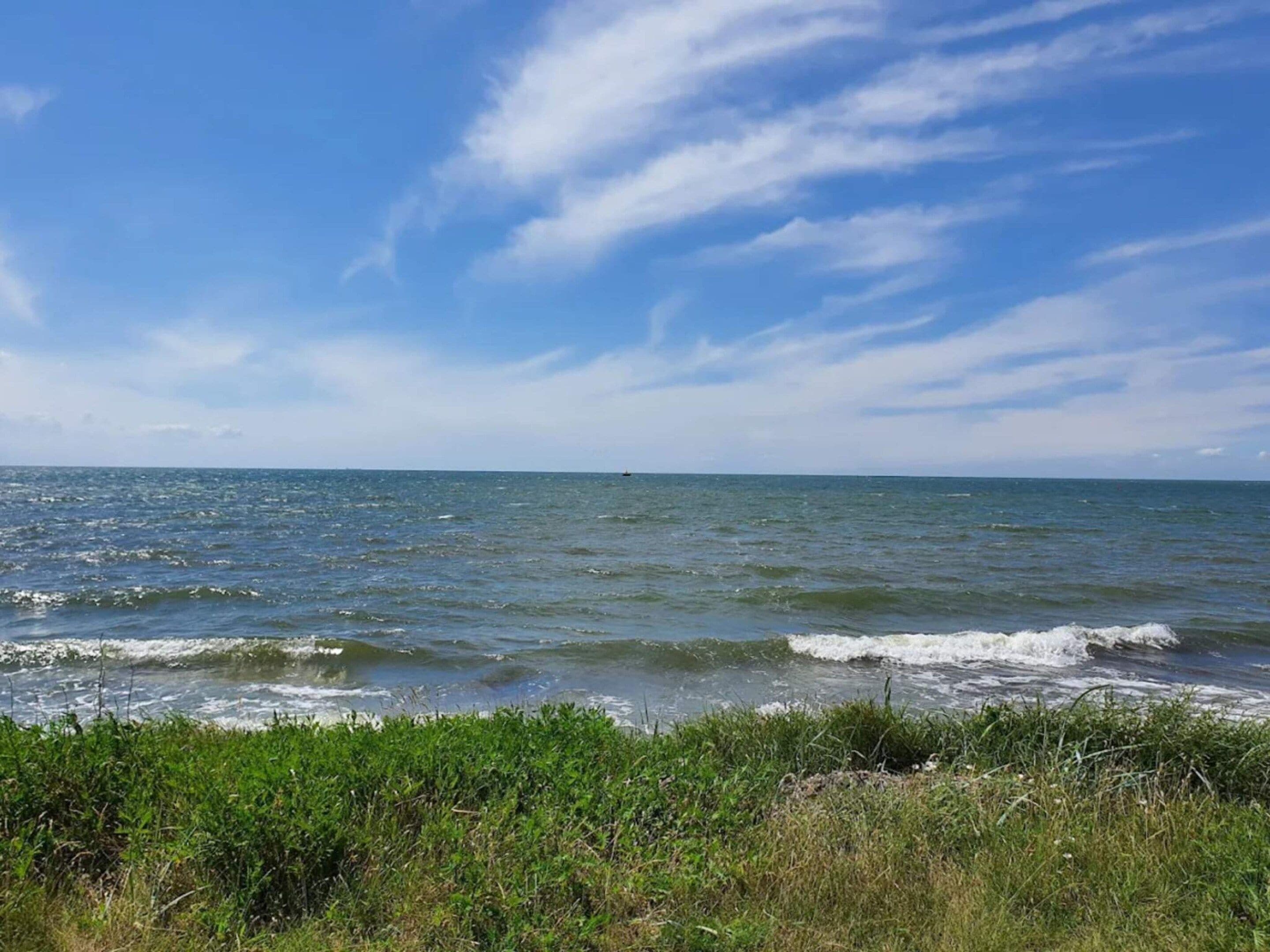 Vista costera con olas, cielo despejado y vegetación.
