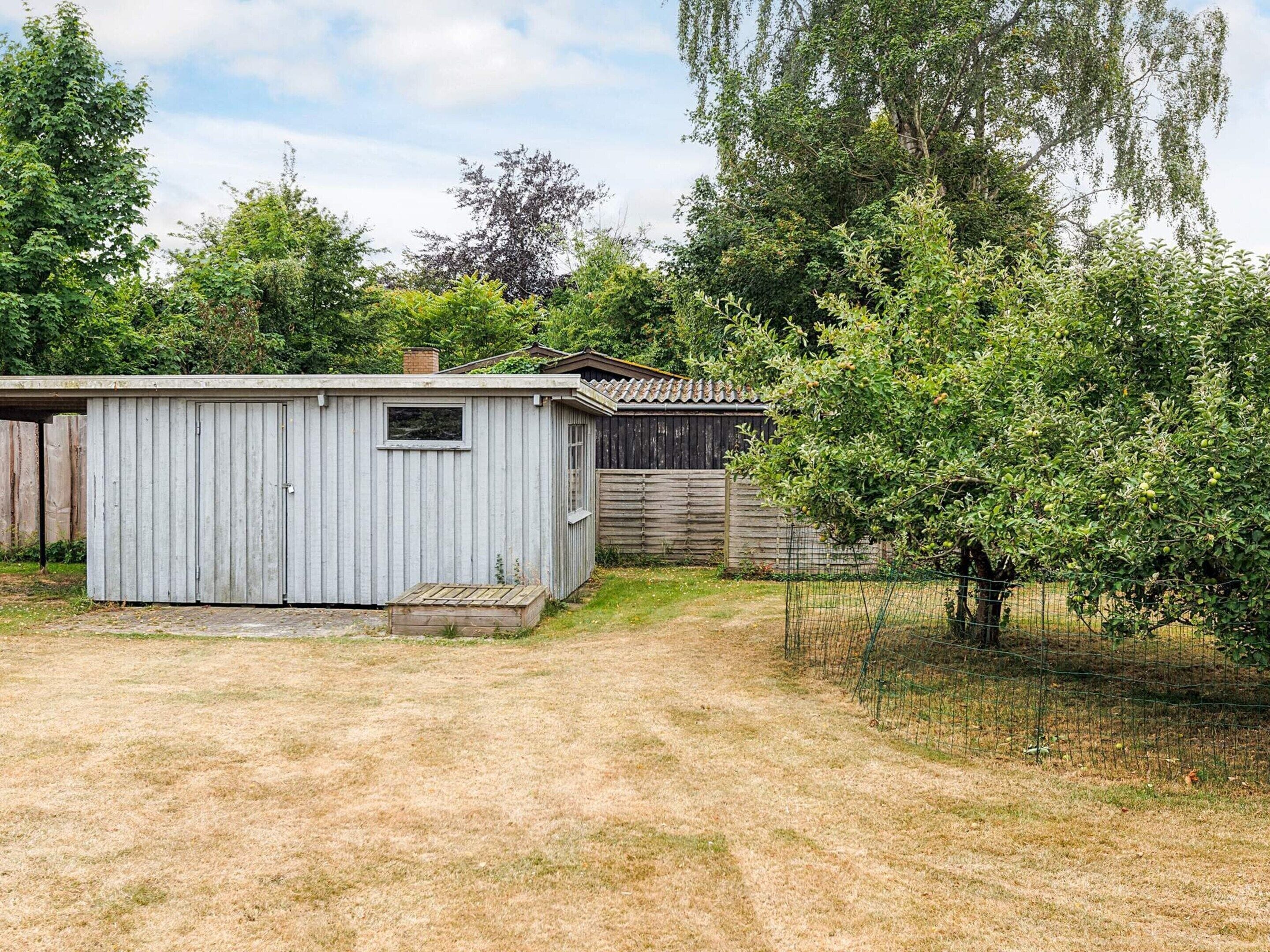 A small, single-story shed with a window and a door, surrounded by a fenced yard with trees and a wooden fence in the background.