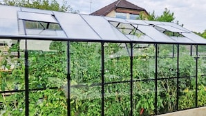 Un invernadero con techo y paredes transparentes, rodeado de abundante vegetación.