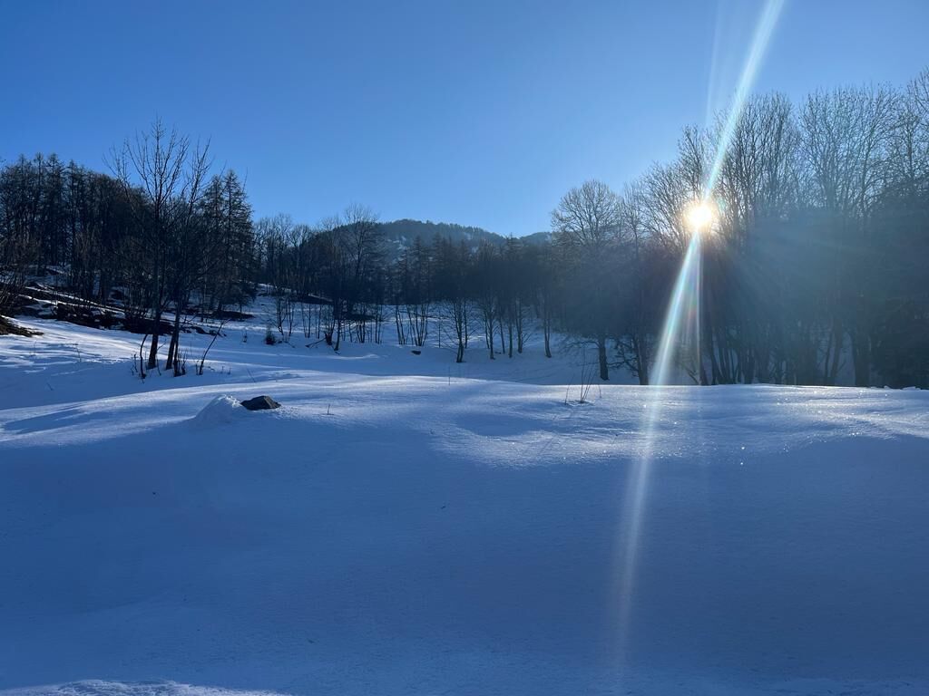 Un paisaje nevado con árboles y cielo despejado.
