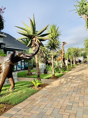 منطقة شواء/نزهات