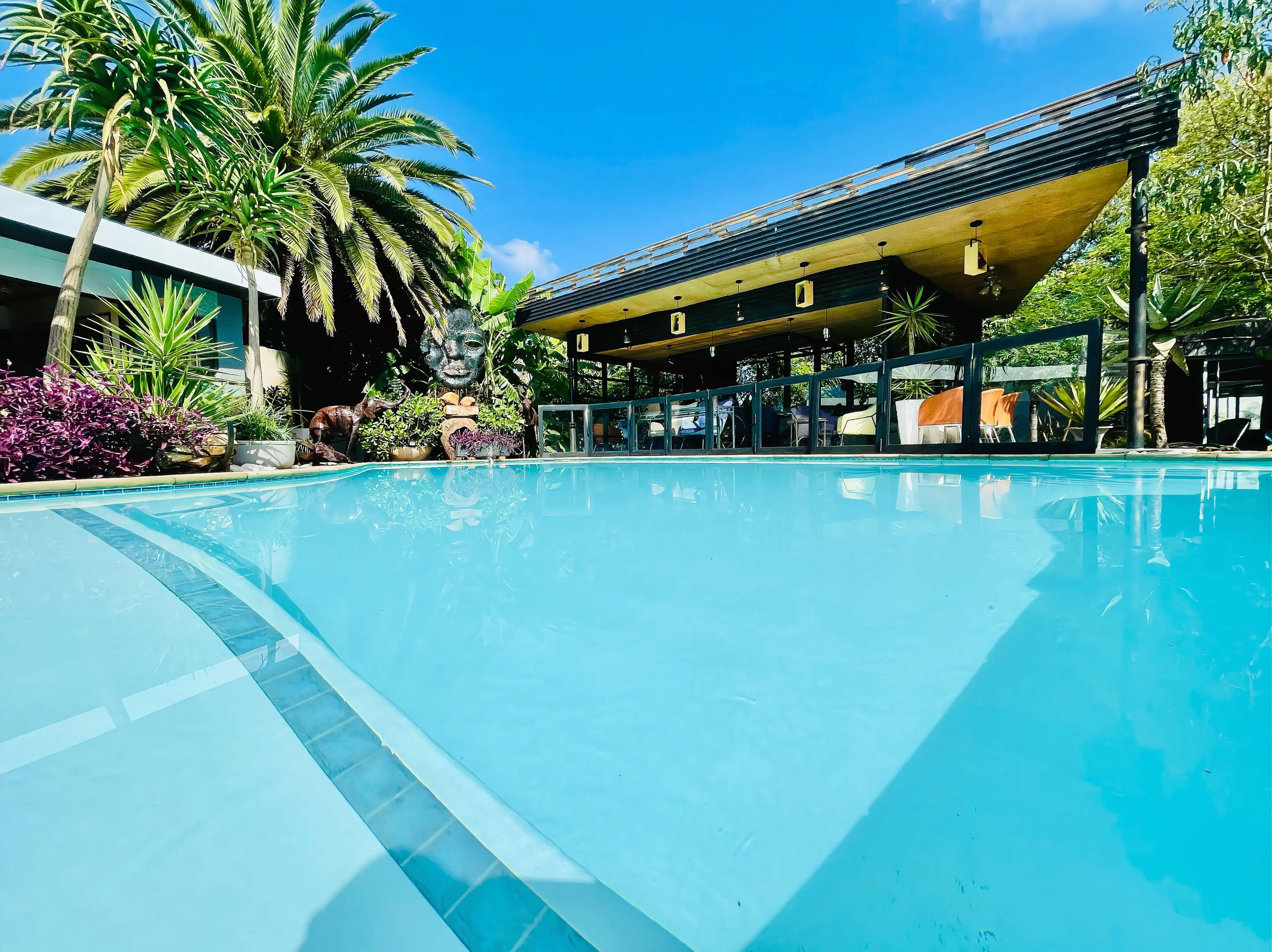 A clear blue pool with a modern building in the background, surrounded by tropical plants.