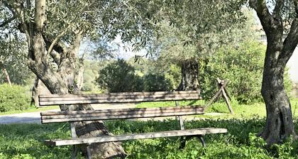 Studio "Naramanue 1" avec vue sur les montagnes, terrasse privée et Wi-Fi