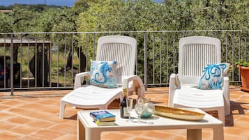 Terras