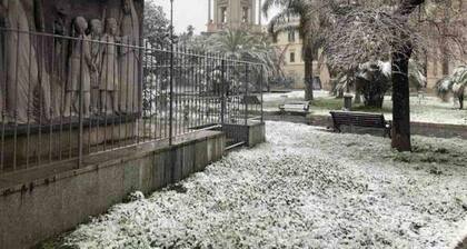 Sky & Green Luxury Apartment