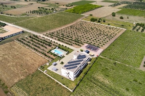 Une vue aérienne d’un vaste complexe agricole comprenant de nombreux champs verdoyants, un bâtiment moderne doté de panneaux solaires et une piscine.