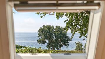 House | View from property