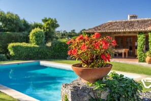 Ein Pool mit einem Blumentopf auf einem Felsen, umgeben von viel Grün und einem Gebäude mit Ziegeldach.