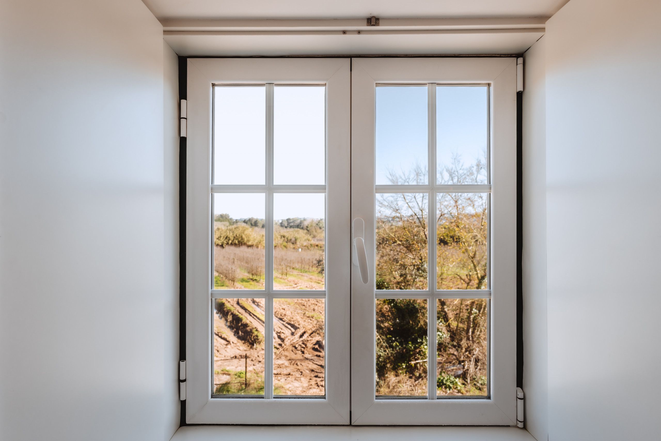 A white-framed window with a clear view of a landscape outside.