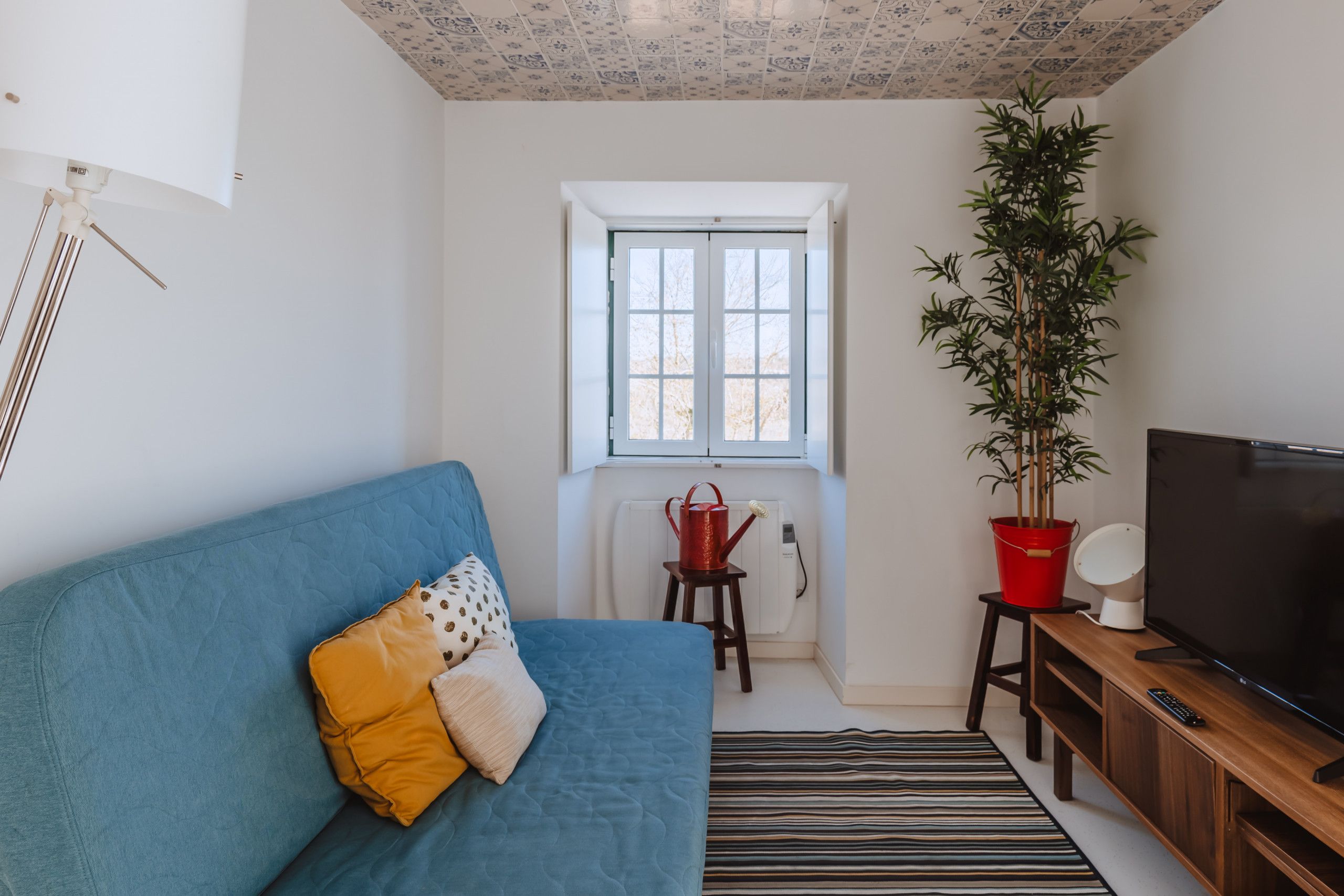 A living room with a blue sofa, a television, a potted plant, and a window with a view.