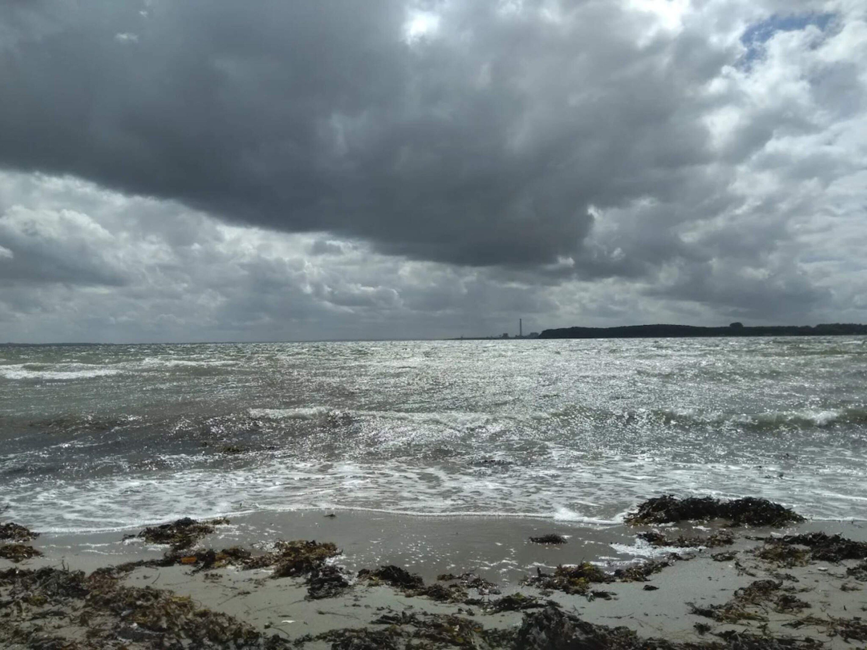 A beach with waves, seaweed, and a cloudy sky.