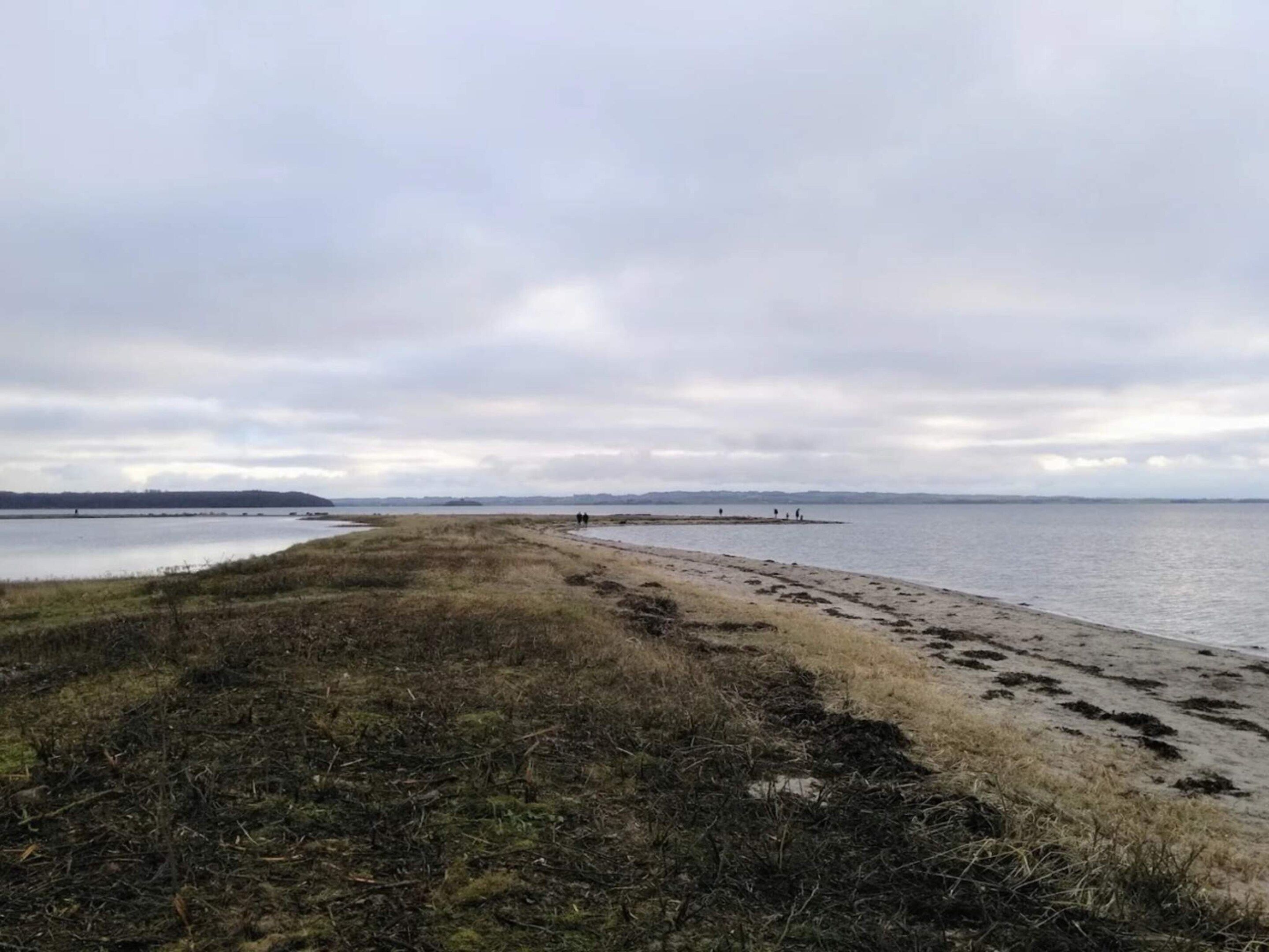 Un paisaje costero con una playa arenosa y dunas cubiertas de hierba.