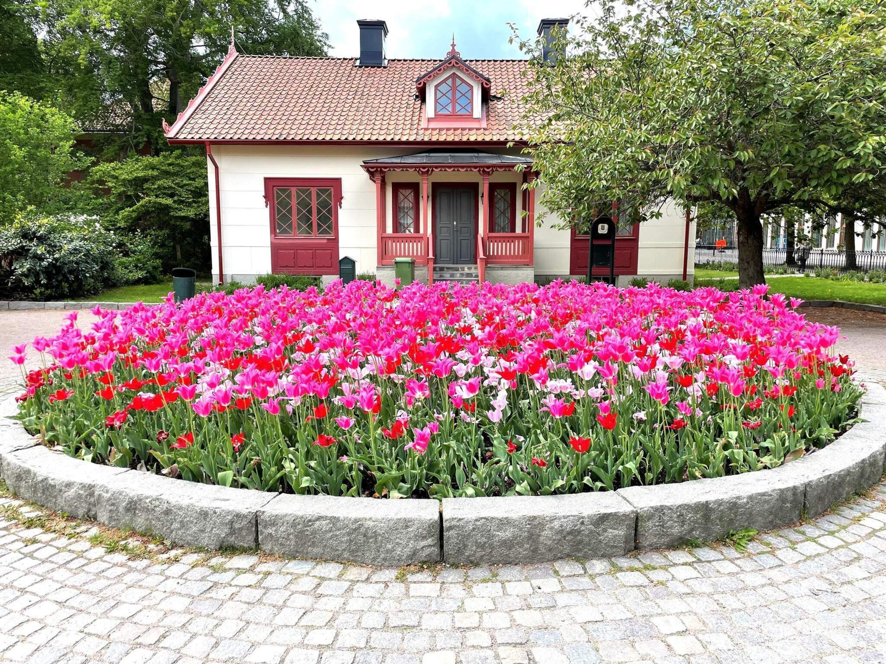 A building with a red-tiled roof and a garden with pink and red tulips.