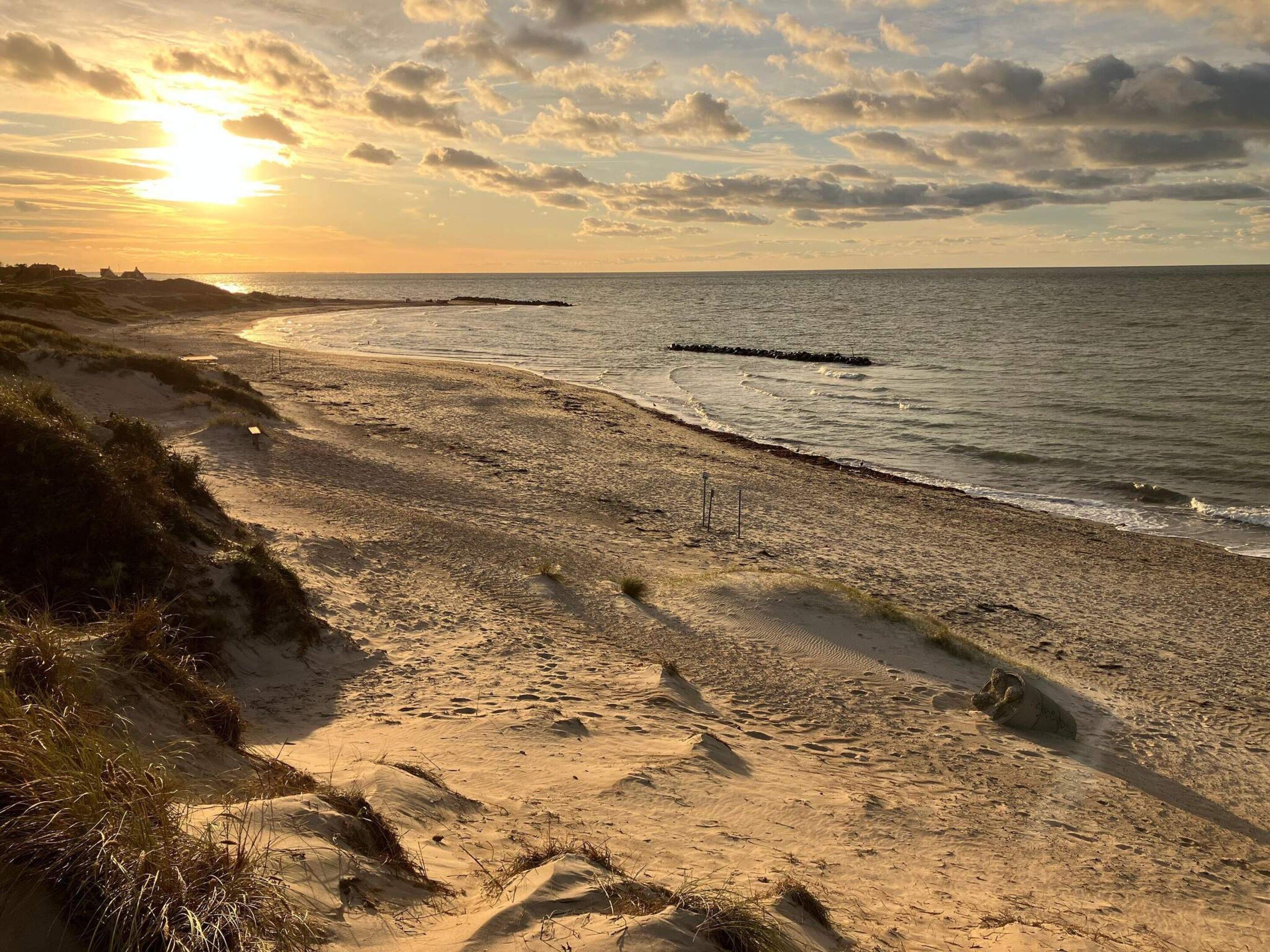 En strand med sand, græs og et vandareal.