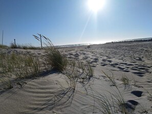 Una playa arenosa con poca vegetación y huellas.