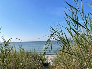 Stroll along the serene beach path surrounded by lush greenery.