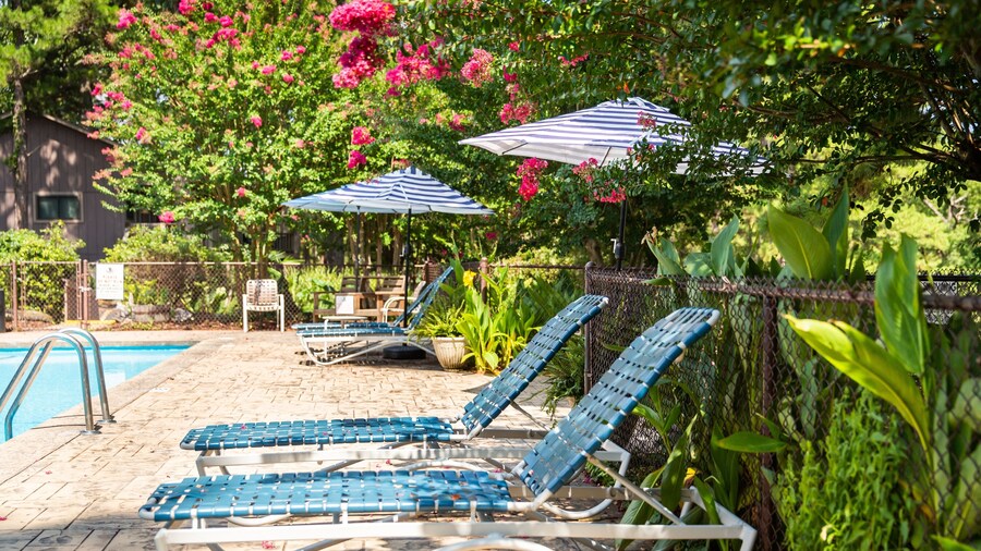 Budget friendly queen studio with full kitchen, two queen beds and sleeper sofa by RedAwning