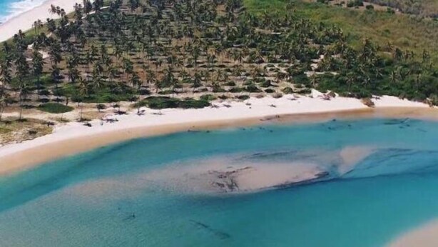 Ovenfra set strand med klart turkis vand, hvidt sand og tætte palmer på skråningen.