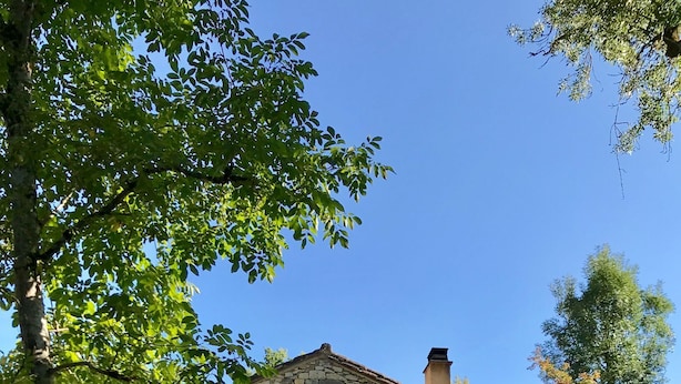 A stone house with a gabled roof, a small window, and a door with white shutters.