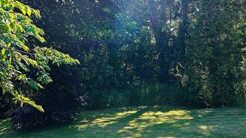 Casa | Vista desde la propiedad