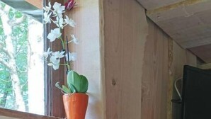 A rustic cabin interior with a wooden ceiling, a window with a curtain, a potted plant, and a hanging light fixture.