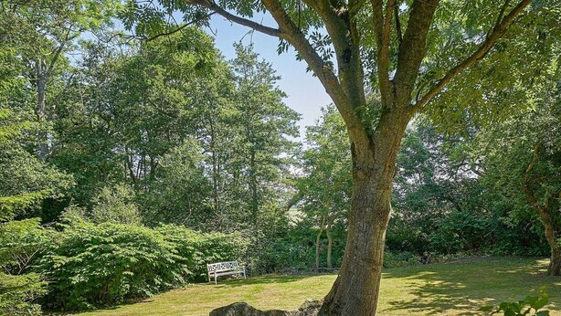 A tree with a sign in the background. - 6 Person Holiday Home in Aakirkeby (Akirkeby)