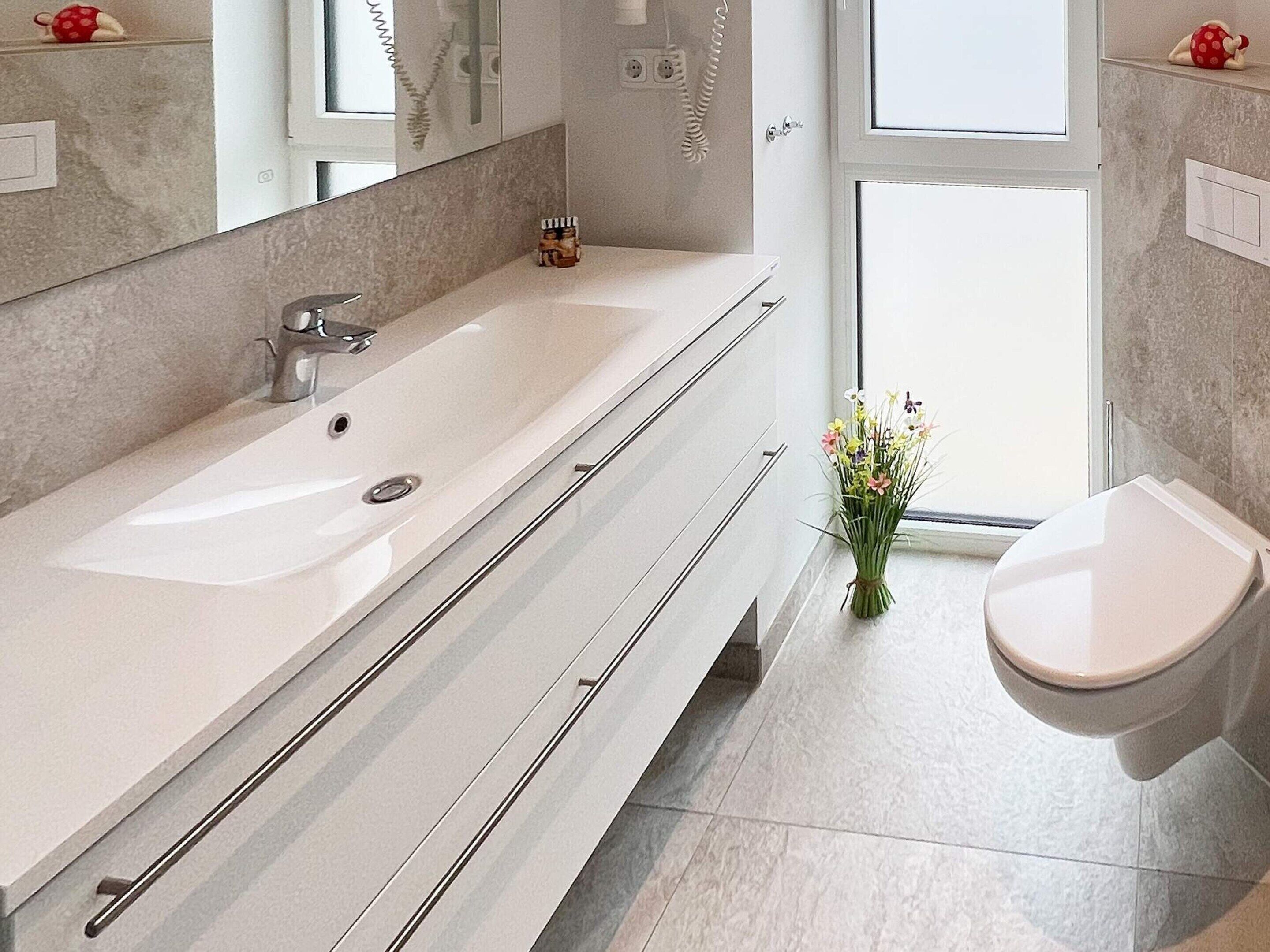 A modern bathroom with a large white sink, a mirror, and a toilet.