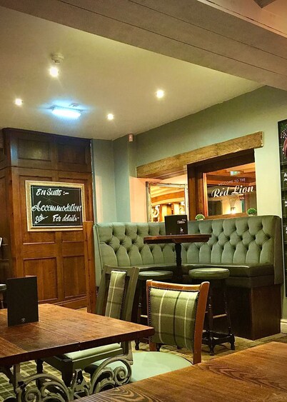 레드 라이온 코칭 인