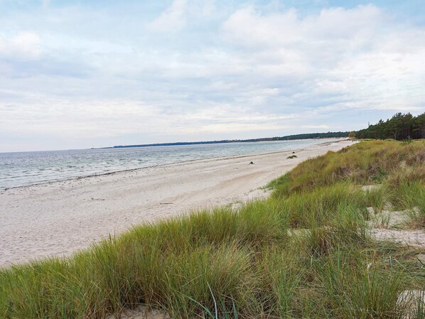 A beach with a sandy shore and grassy dunes. - 4 Person Holiday Home in Byxelkrok (Byxelkrok)