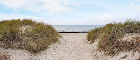 Casa | Vista desde la propiedad